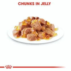 Royal Canin Adult Intense Hair & Skin Wet Cat Food -ROYAL CANIN Sales I9474292 en 05