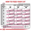 Royal Canin Veterinary Diet Renal Adult Wet Cat Food - Fish