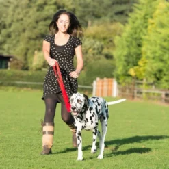 Halti Multifunctional Training Dog Lead In Red -ROYAL CANIN Sales I9499438 en 04