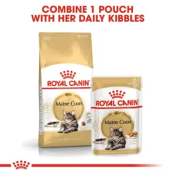 Royal Canin Maine Coon Adult Cat Wet Food In Gravy