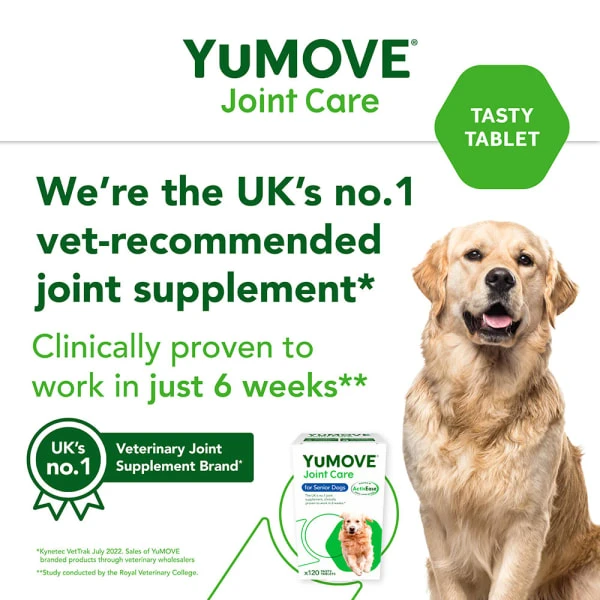 YuMOVE Joint Supplement For Senior Dogs 13 YuMOVE Joint Supplement For Senior Dogs - Image 13
