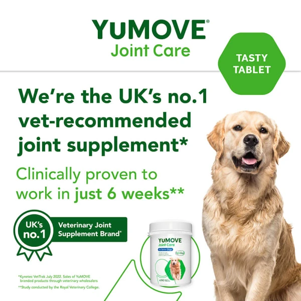 YuMOVE Joint Supplement For Senior Dogs 11 YuMOVE Joint Supplement For Senior Dogs - Image 11