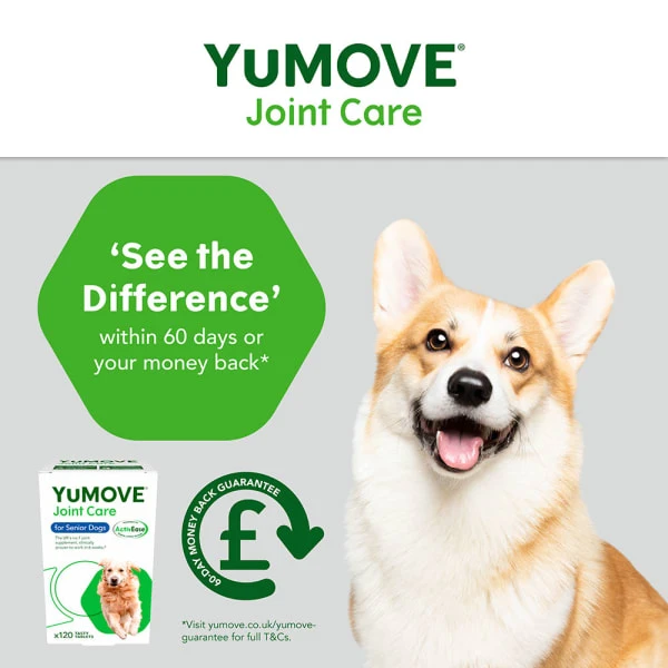 YuMOVE Joint Supplement For Senior Dogs 6 YuMOVE Joint Supplement For Senior Dogs - Image 6