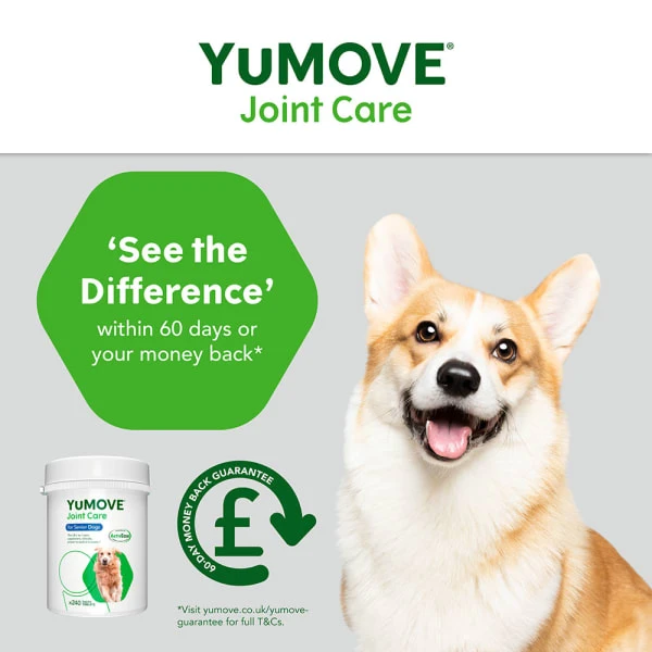 YuMOVE Joint Supplement For Senior Dogs 5 YuMOVE Joint Supplement For Senior Dogs - Image 5