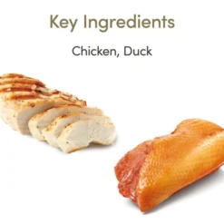 Applaws Grain-free Wet Cat Food Chicken With Duck In Gravy -ROYAL CANIN Sales I9520425 02