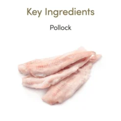 Applaws Grain-free Wet Cat Food Pollock In Gravy 24 Pack -ROYAL CANIN Sales I9520426 02