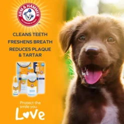 Arm & Hammer Fresh Coconut Dental Kit Dog -ROYAL CANIN Sales I9520462 05