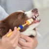 Arm & Hammer Fresh Coconut Dental Kit Dog