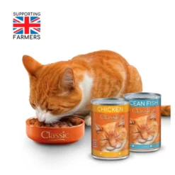 ROYAL CANIN Sales -ROYAL CANIN Sales I9520633 02