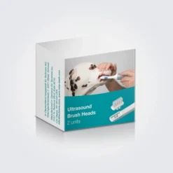 Cleany Teeth Replacement Single Head