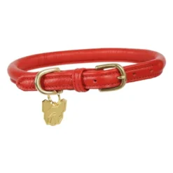 Digby & Fox Red Rolled Leather Dog Collar -ROYAL CANIN Sales I9520855