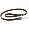 Earthbound Soft Country Leather Brown Dog Lead
