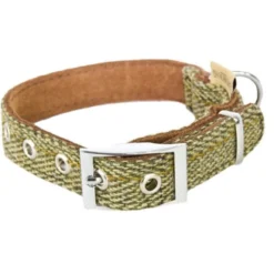 Earthbound Tweed Green Dog Collar