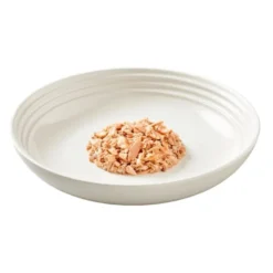 New Arrival 8 Encore Cat Tin Ocean Fish