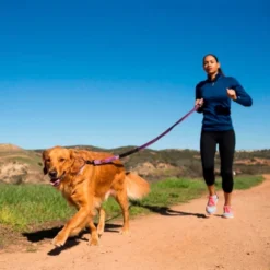 Halti All-In-One Blue Dog Lead -ROYAL CANIN Sales I9521386 01