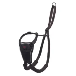 Halti No Pull Harness -ROYAL CANIN Sales I9521399