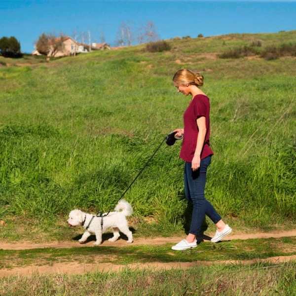 Halti Retractable Dog Lead Black 2 Halti Retractable Dog Lead Black - Image 2