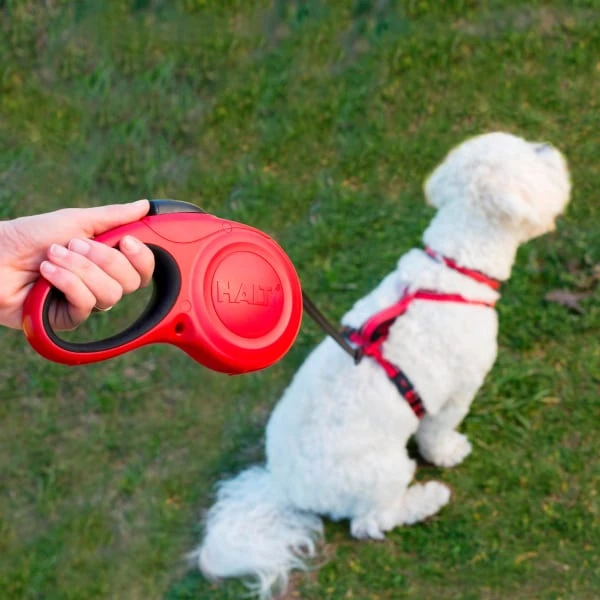 Halti Retractable Dog Lead Black 1 Halti Retractable Dog Lead Black