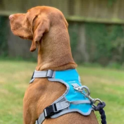 Henry Wag Dog Travel Car Harness 16 Henry Wag Dog Travel Car Harness -ROYAL CANIN Sales I9521451 01