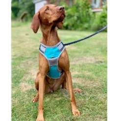 Henry Wag Dog Travel Car Harness 11 Henry Wag Dog Travel Car Harness -ROYAL CANIN Sales I9521451 06