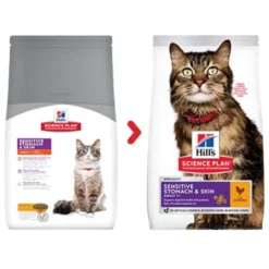 Hill's Science Plan Adult Sensitive Stomach & Skin Chicken Dry Cat Food -ROYAL CANIN Sales I9521498 01