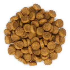 Hill's Science Plan Adult Sensitive Stomach & Skin Chicken Dry Cat Food -ROYAL CANIN Sales I9521498 05