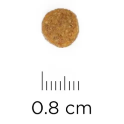 Hill's Science Plan Adult Sensitive Stomach & Skin Chicken Dry Cat Food -ROYAL CANIN Sales I9521498 06