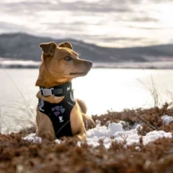 Hurtta Weekend Warrior Harness Raven