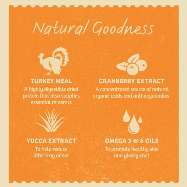 James Wellbeloved Complete Adult Light Turkey Dry Cat Food 3 James Wellbeloved Complete Adult Light Turkey Dry Cat Food - Image 3