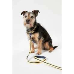 Joules Navy Coastal Dog Collar -ROYAL CANIN Sales I9521714 en 02