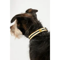 Joules Navy Coastal Dog Collar -ROYAL CANIN Sales I9521714 en 05