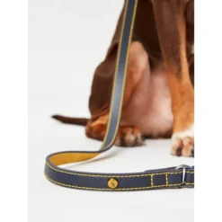 Joules Navy Leather Lead -ROYAL CANIN Sales I9521716 en 02