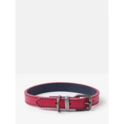 Joules Pink Leather Dog Collar -ROYAL CANIN Sales I9521719