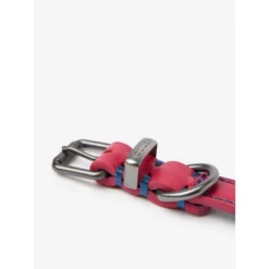 Joules Pink Leather Dog Collar -ROYAL CANIN Sales I9521719 en 10
