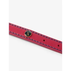 Joules Pink Leather Dog Collar -ROYAL CANIN Sales I9521719 en 11