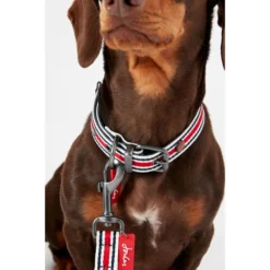 Joules Red Coastal Dog Collar -ROYAL CANIN Sales I9521722 en 02