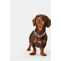 Joules Red Coastal Dog Collar -ROYAL CANIN Sales I9521722 en 03