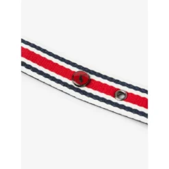 Joules Red Coastal Dog Collar -ROYAL CANIN Sales I9521722 en 11