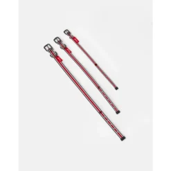 Joules Red Coastal Dog Collar -ROYAL CANIN Sales I9521722 en 12