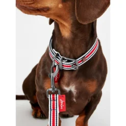 Joules Red Coastal Dog Collar -ROYAL CANIN Sales I9521722 en 13