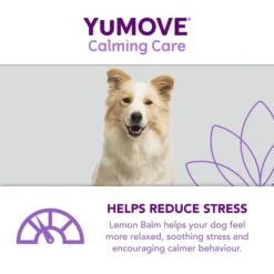 YuMOVE One-A-Day Calming Care Supplement For Large Dogs -ROYAL CANIN Sales I9521908 en 07