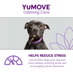 YuMOVE One-A-Day Calming Care Supplement For Small Dogs -ROYAL CANIN Sales I9521910 en 07