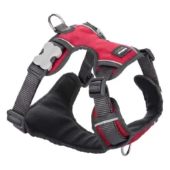 Red Dingo Red Padded Dog Harness -ROYAL CANIN Sales I9522433