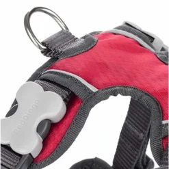 Red Dingo Red Padded Dog Harness -ROYAL CANIN Sales I9522433 01