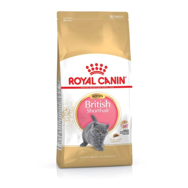 Royal Canin British Shorthair Kitten Dry Food 8 Royal Canin British Shorthair Kitten Dry Food - Image 8