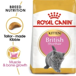 Royal Canin British Shorthair Kitten Dry Food 13 Royal Canin British Shorthair Kitten Dry Food -ROYAL CANIN Sales I9522532 en 02