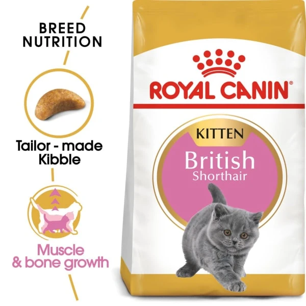 Royal Canin British Shorthair Kitten Dry Food 6 Royal Canin British Shorthair Kitten Dry Food - Image 6