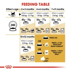 Royal Canin British Shorthair Kitten Dry Food 11 Royal Canin British Shorthair Kitten Dry Food -ROYAL CANIN Sales I9522532 en 05