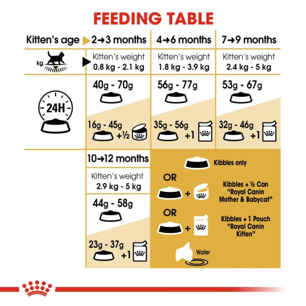 Royal Canin British Shorthair Kitten Dry Food 4 Royal Canin British Shorthair Kitten Dry Food - Image 4