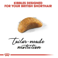Royal Canin British Shorthair Kitten Dry Food 12 Royal Canin British Shorthair Kitten Dry Food -ROYAL CANIN Sales I9522532 en 06